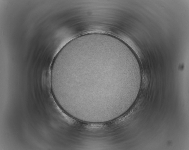 X0000095121290200712301751