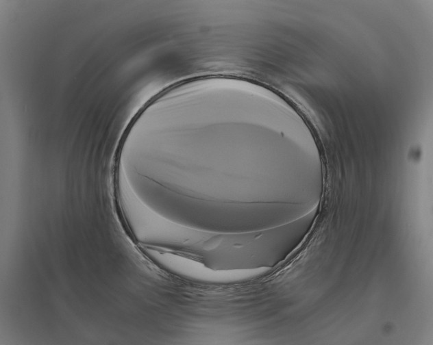 X0000095121291200712301751