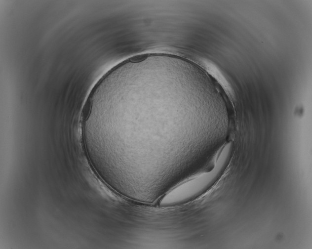 X0000095121292200712301751