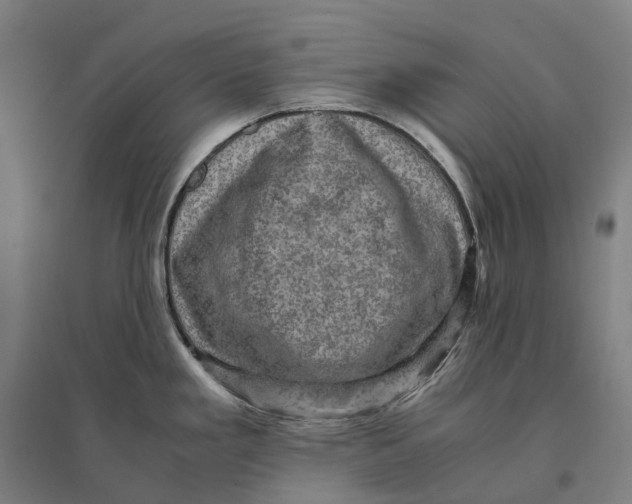 X0000095121293200712301751