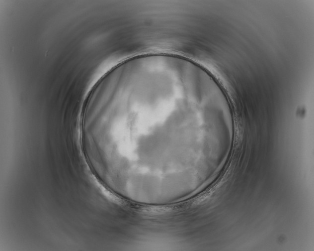 X0000095121294200712301751