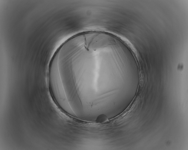 X0000095121295200712301751