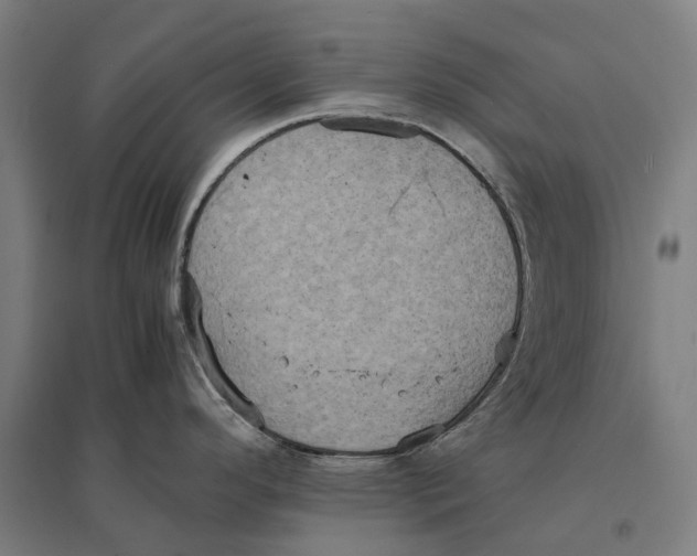 X0000095121296200712301751