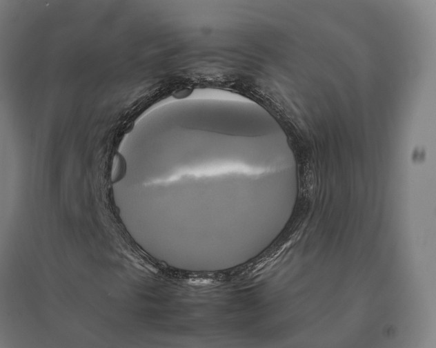 X0000095121297200712301751