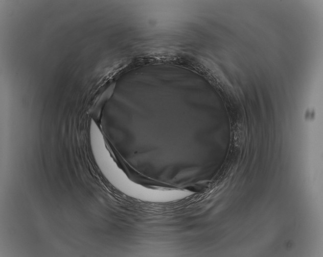 X0000095121298200712301751