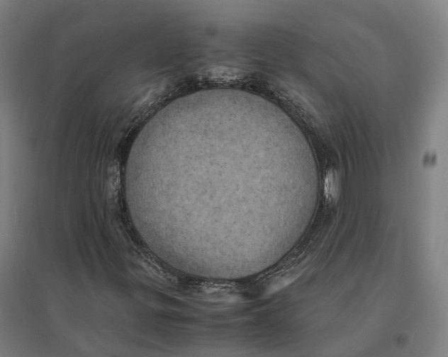 X0000095121299200712301751