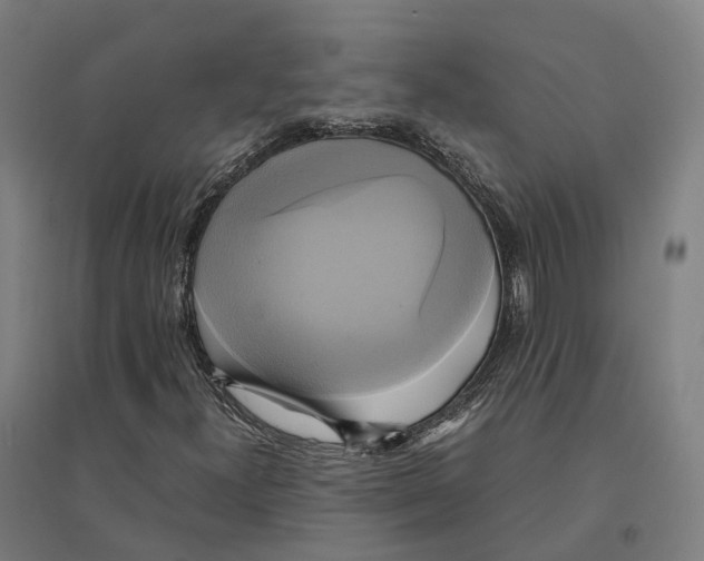 X0000095121300200712301751