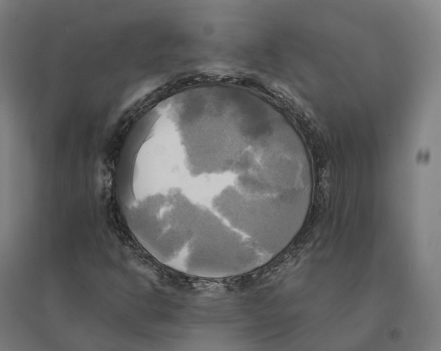 X0000095121302200712301751