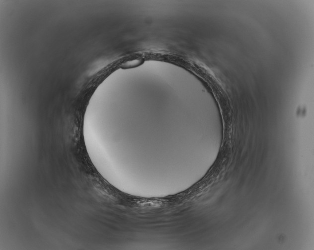 X0000095121303200712301751