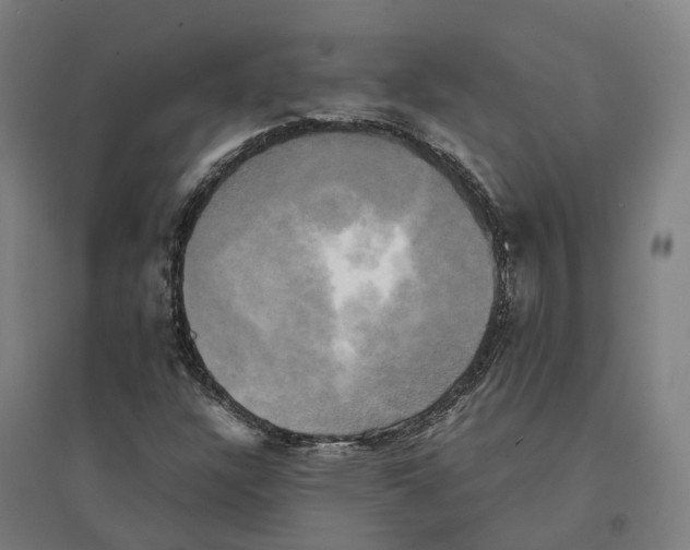 X0000095121304200712301751