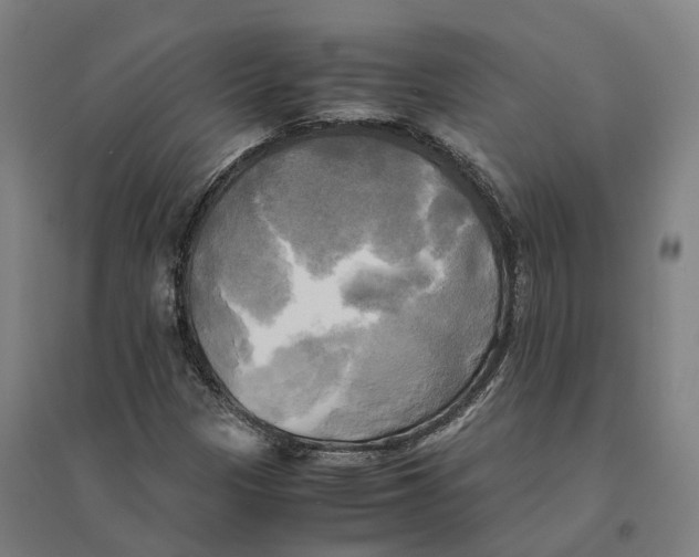 X0000095121305200712301751