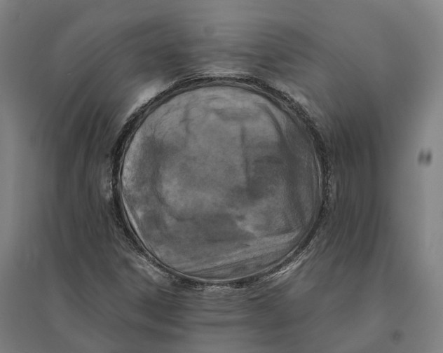 X0000095121306200712301751