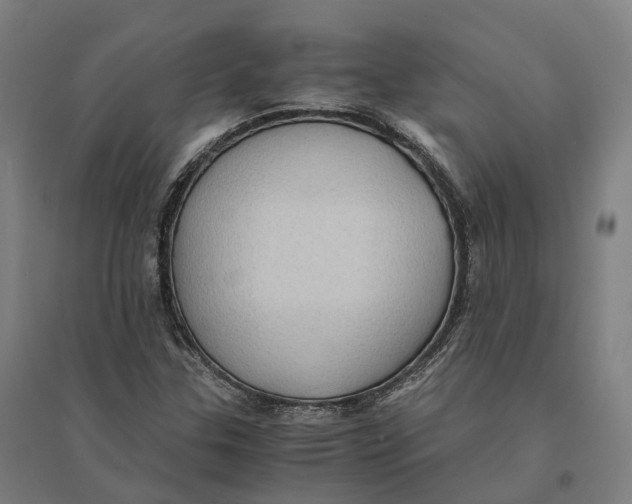 X0000095121307200712301751