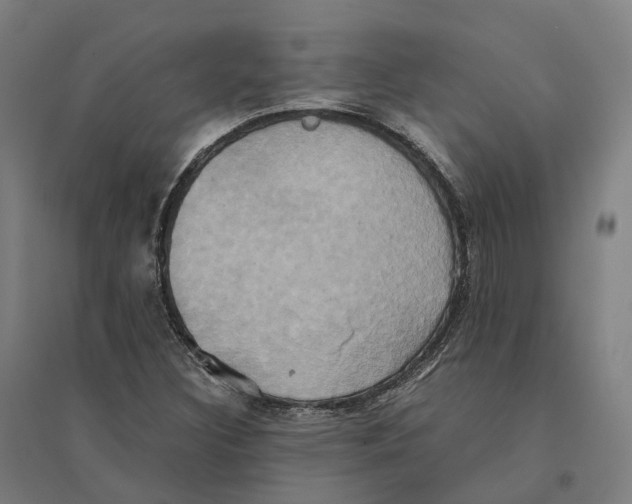 X0000095121308200712301751