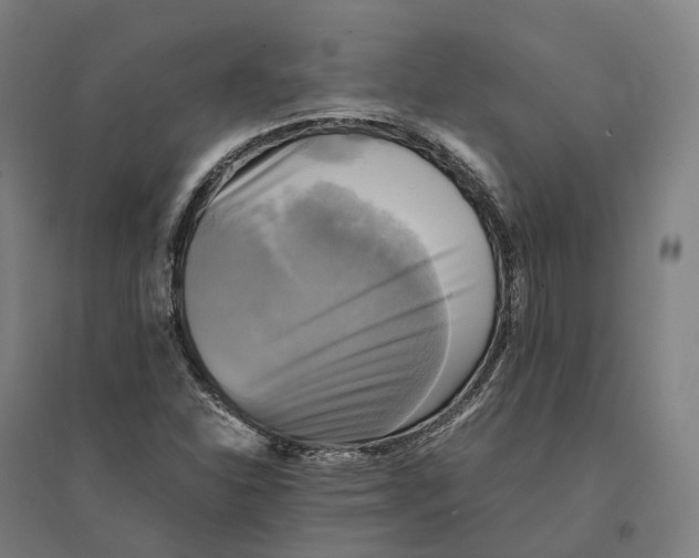 X0000095121310200712301751