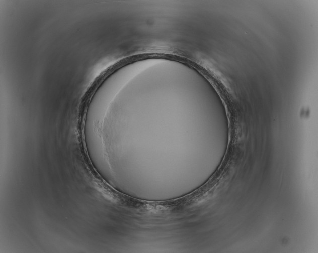 X0000095121312200712301751