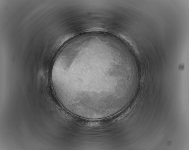 X0000095121313200712301751