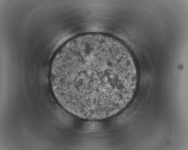 X0000095121314200712301751