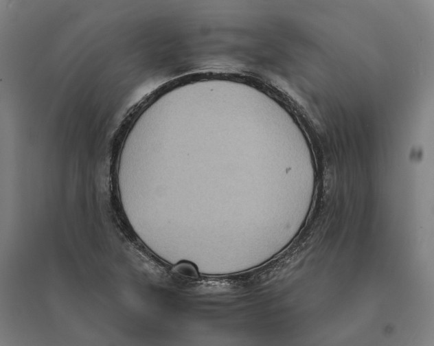 X0000095121315200712301751