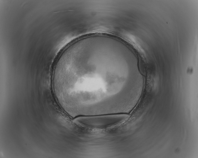 X0000095121316200712301751