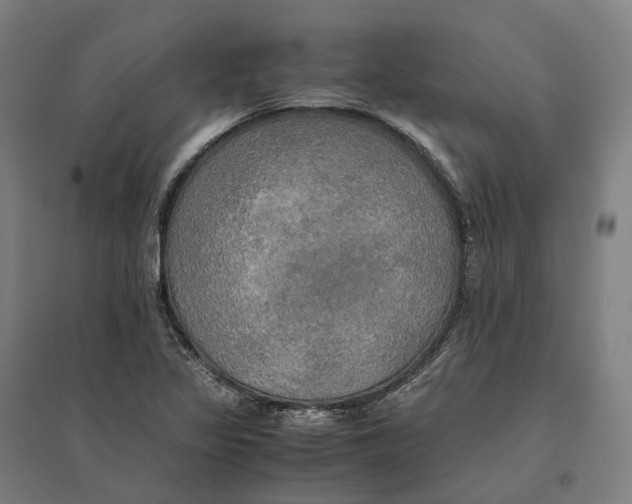 X0000095121317200712301751