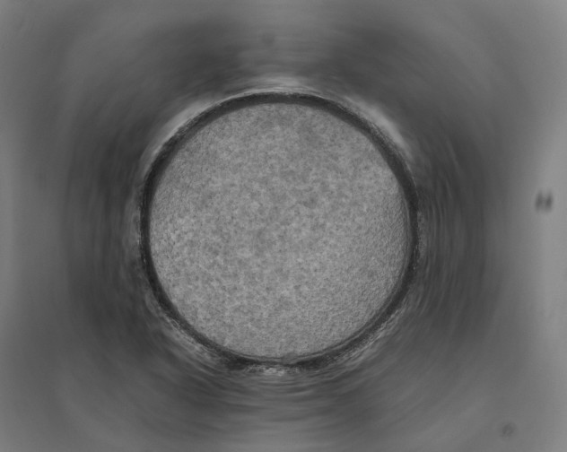 X0000095121318200712301751