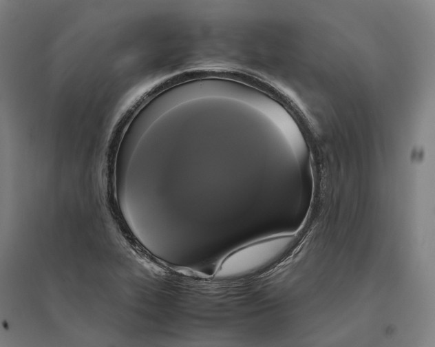 X0000095121319200712301751