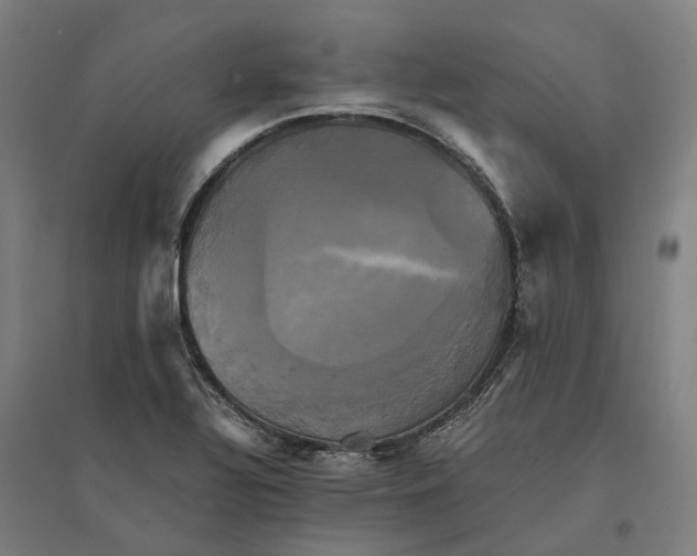 X0000095121320200712301751