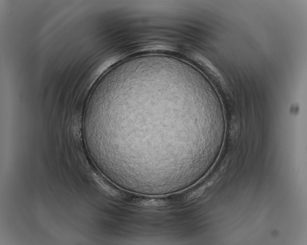 X0000095121321200712301751