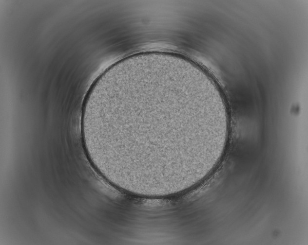 X0000095121322200712301751