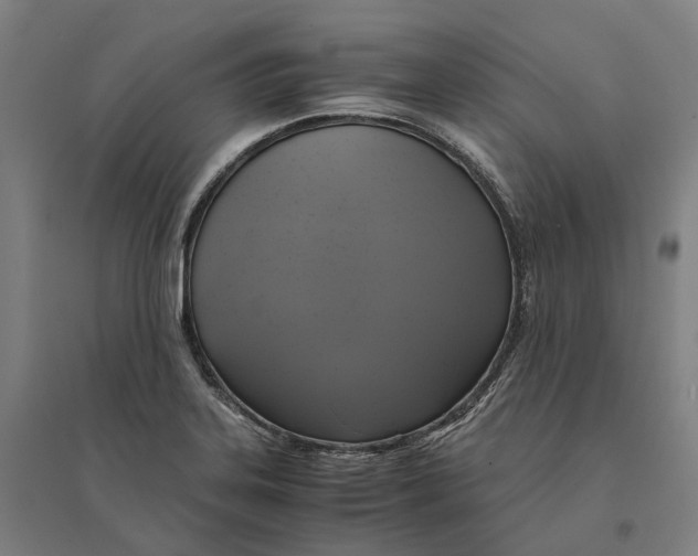 X0000095121323200712301751