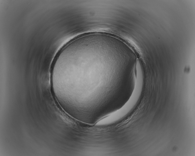 X0000095121324200712301751