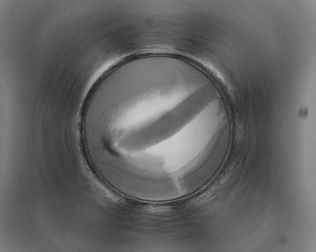 X0000095121325200712301751