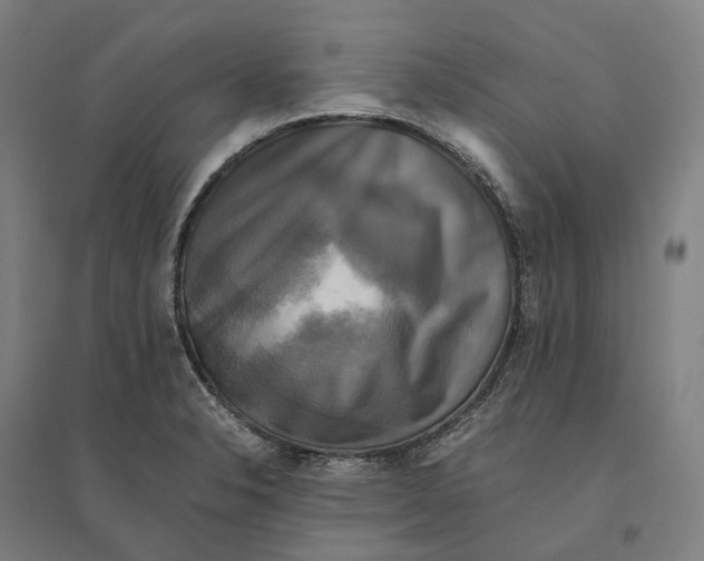 X0000095121326200712301751