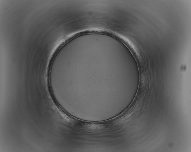 X0000095121327200712301751