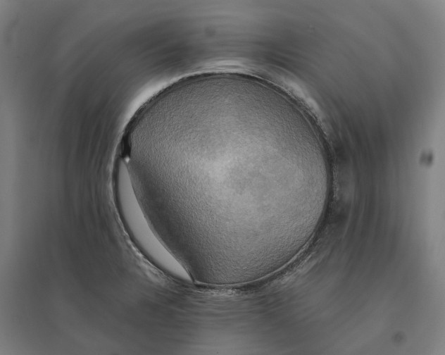 X0000095121328200712301751