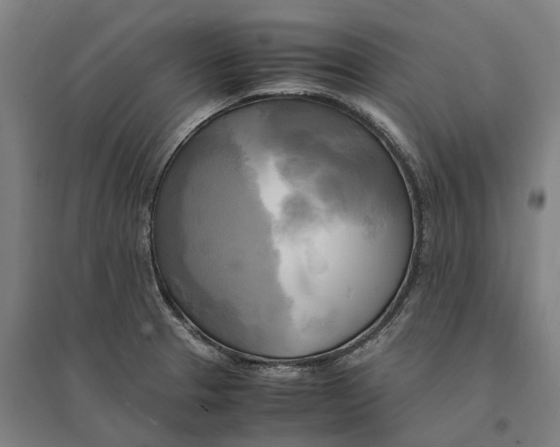 X0000095121329200712301751