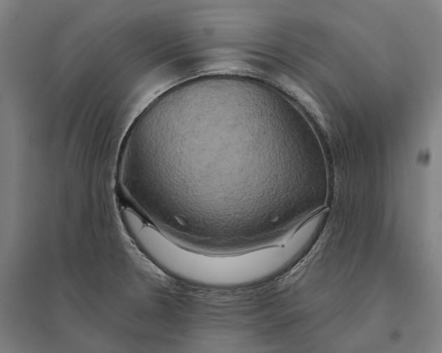 X0000095121330200712301751