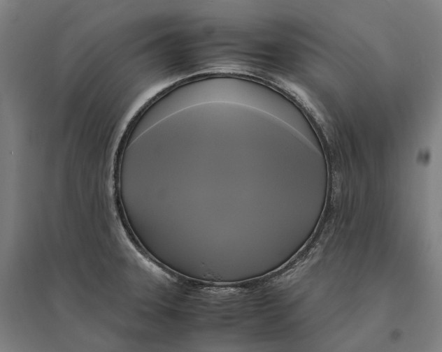 X0000095121331200712301751