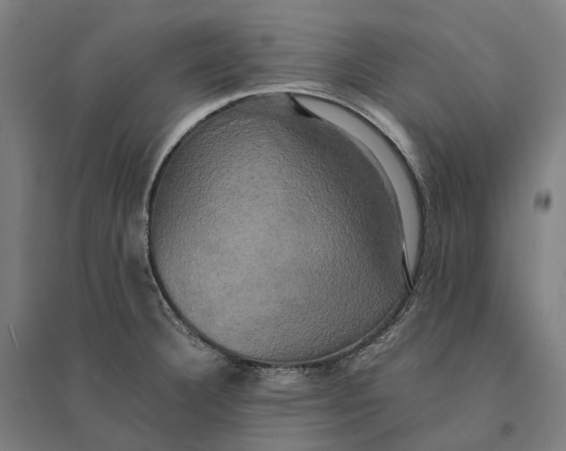 X0000095121332200712301751