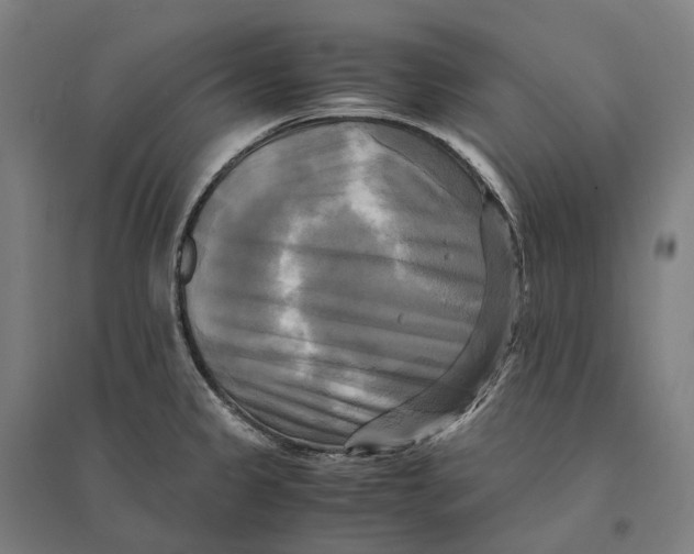 X0000095121333200712301751