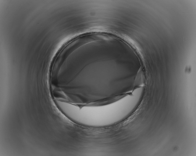 X0000095121334200712301751