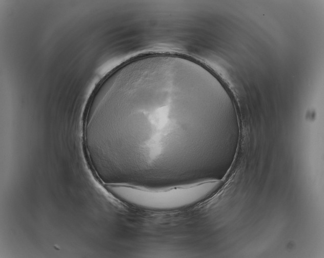 X0000095121335200712301751