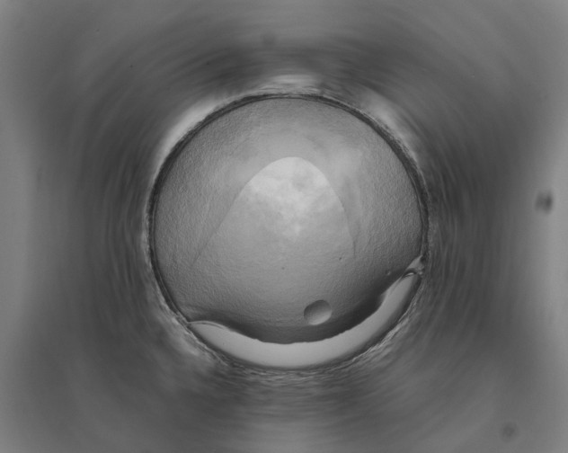 X0000095121336200712301751