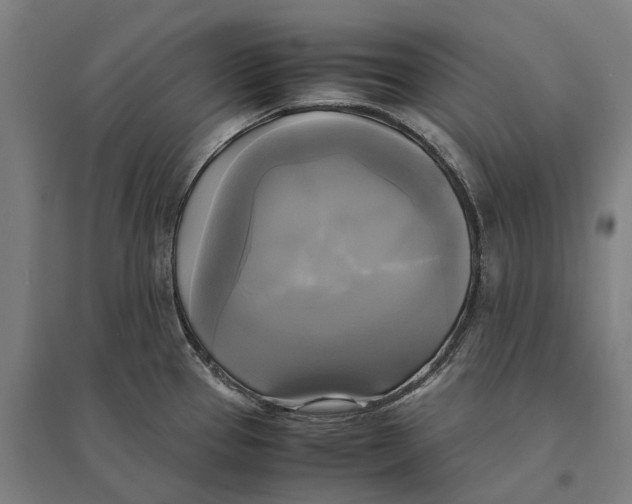 X0000095121337200712301751