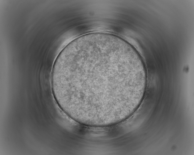 X0000095121338200712301751