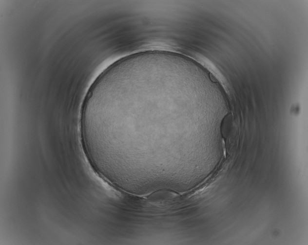 X0000095121339200712301751