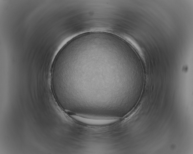 X0000095121340200712301751