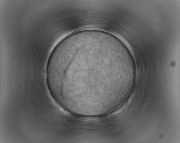 X0000095121341200712301751