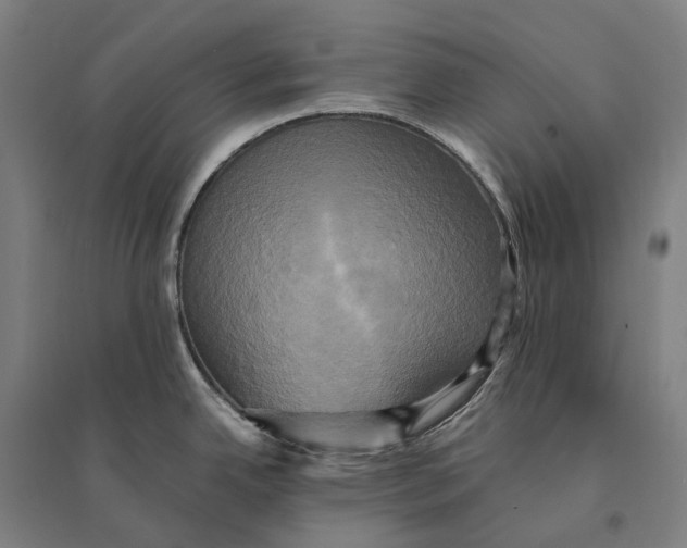 X0000095121342200712301751